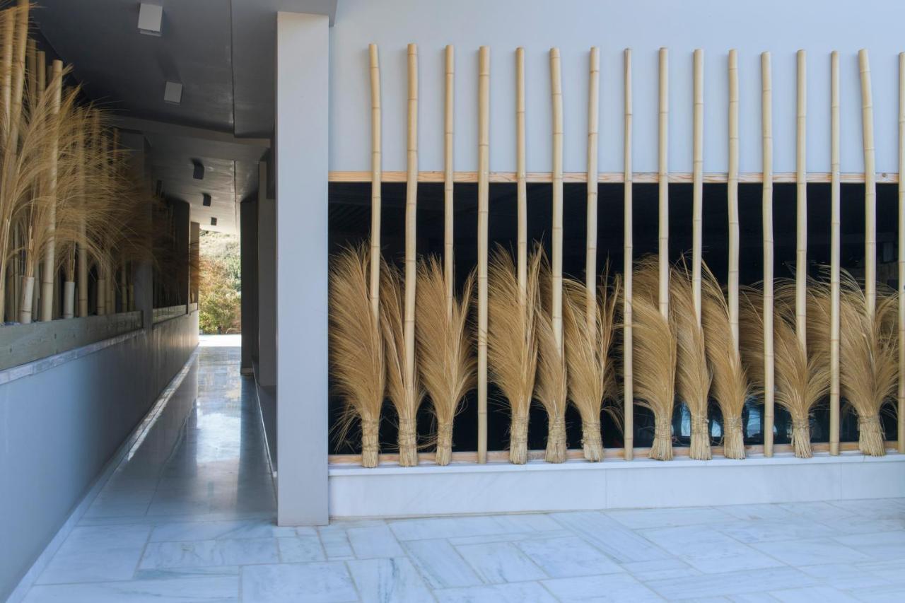 Aval Riviera Apartment Lagonisi Luaran gambar
