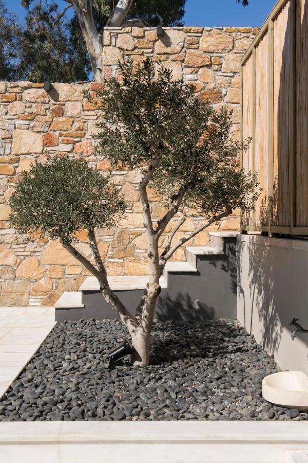 Aval Riviera Apartment Lagonisi Luaran gambar